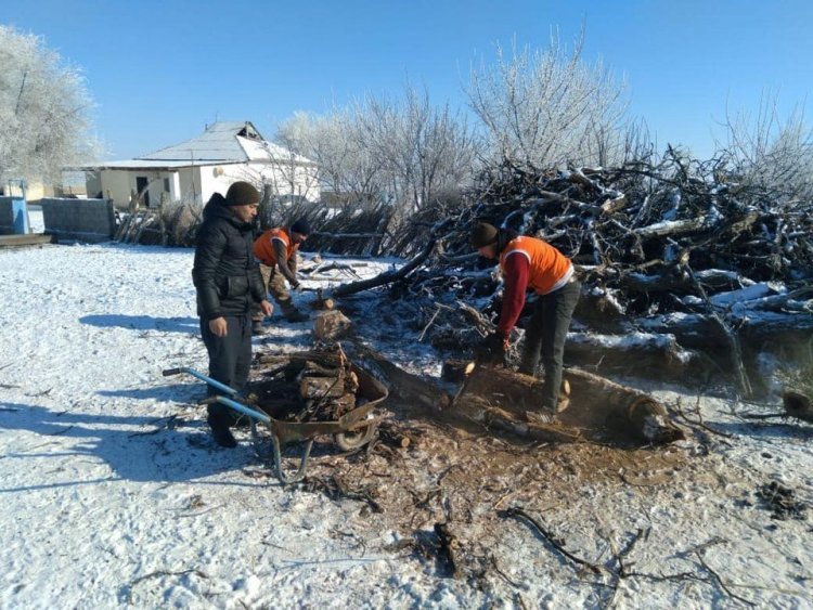 Арысские волонтеры убирают снег во дворах позилых жителей