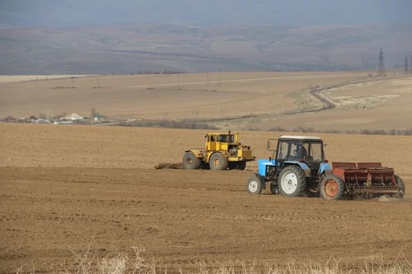 Түркістан: Түлкібас ауданында 64 мың гектардан астам алқапқа ауыл шаруашылығы дақылдары егілді