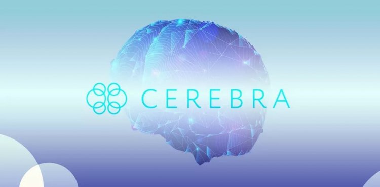 Казахстанский стартап Cerebra выбран для участия в крупнейшем мировом акселераторе MedTech Innovator