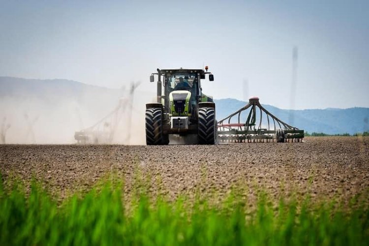 Туркестан: Объемы посева сельхозкультур увеличились на 3,4 тыс. га