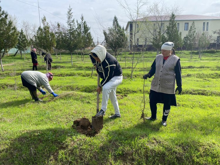 В Туркестанской области в рамках акции "Чистый Казахстан" посадили около 145 тысяч деревьев и кустарников