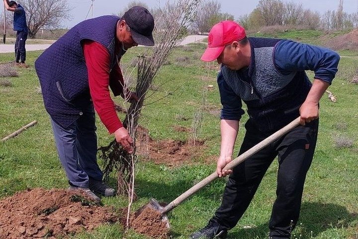 Түркістан: "Таза Қазақстан" экологиялық акциясына ордабасылықтар белсенді атсалысуда