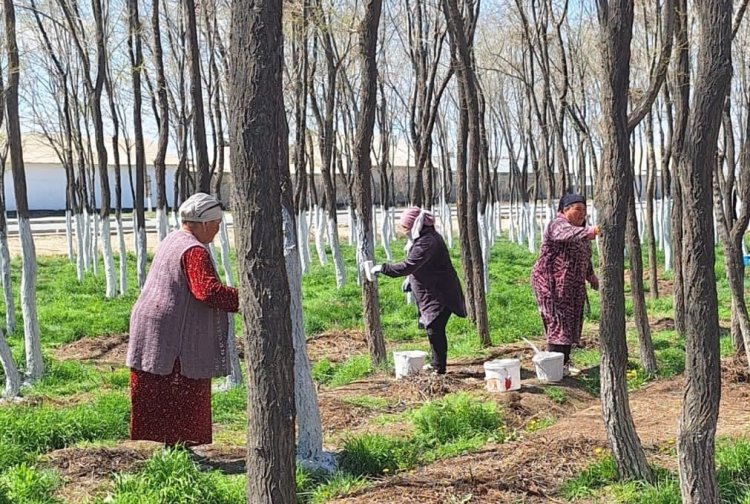 Түркістан: Саурандықтар "Таза Қазақстан" акциясы аясында аудан аумағында абаттандыру жұмыстарын жүргізуде