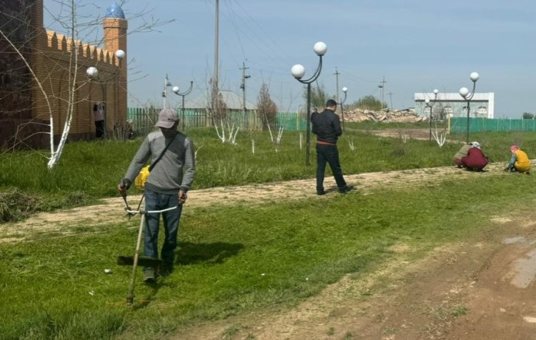 Түркістан: Сарыағаштықтар экологиялық акцияға белсене қатысуда