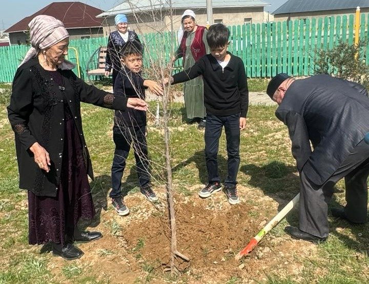Түркістан: Экоакция аясында Сарыағаштық әжелер немерелерімен бірге ағаш көшеттерін екті