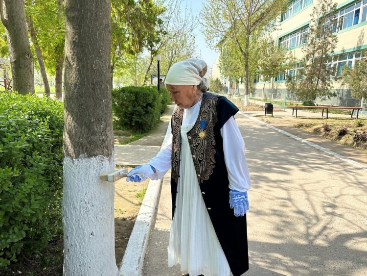 Түркістан: Келесте 85 жастағы зейнеткер “Таза Қазақстан” акциясына өз үлесін қосты